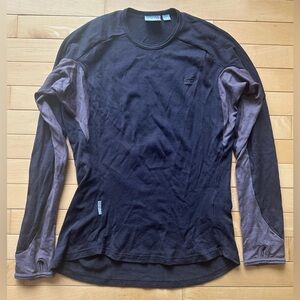 Icebreaker 260 women's long sleeve top - deep plum